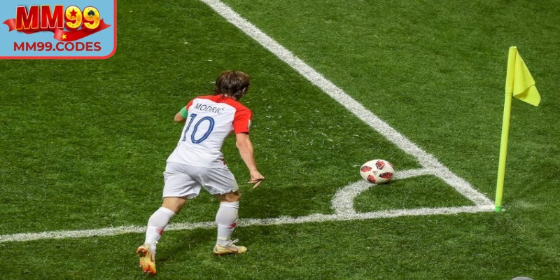 Các thuật ngữ quan trọng cần nắm